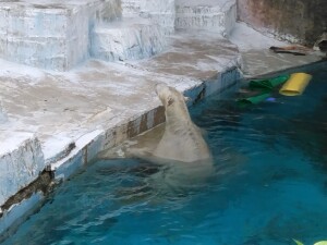 .trashed-1763800162-IMG_20251021_101741