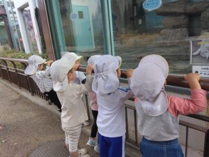 .trashed-1763886812-IMG_20251021_100209