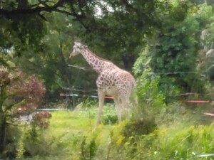 .trashed-1763886814-IMG_20251021_101311