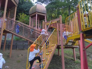 IMG_20251104_121755[1]