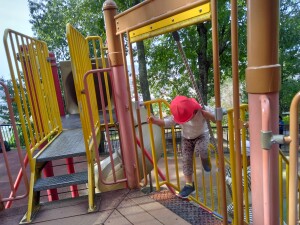 IMG_20251104_123024[1]