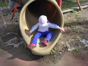 IMG_20251104_123050[1]