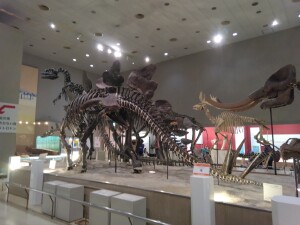 IMG_20260519_101955