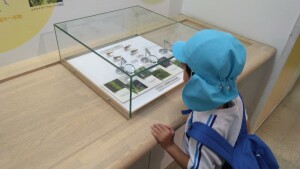 IMG_20260519_103830